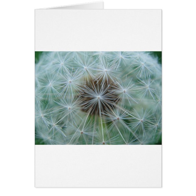 Cartão Löwenzahnmuster (Frente)