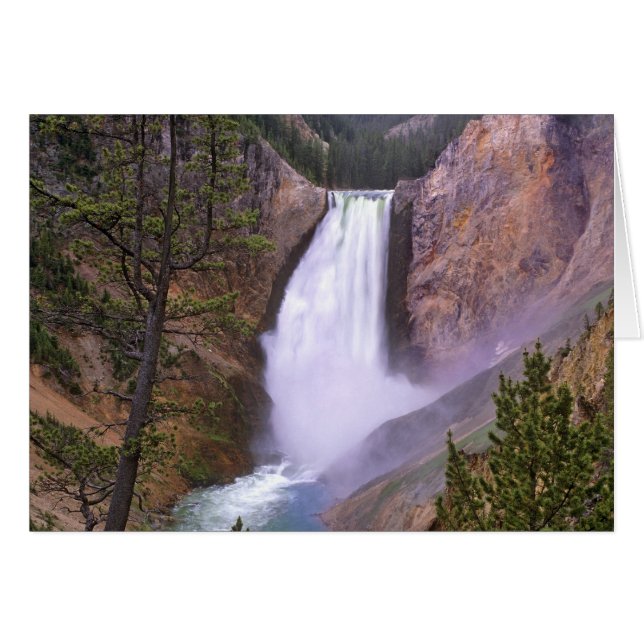 Cartão Lower Yellowstone Falls, Grand Canyon de (Frente Horizontal)