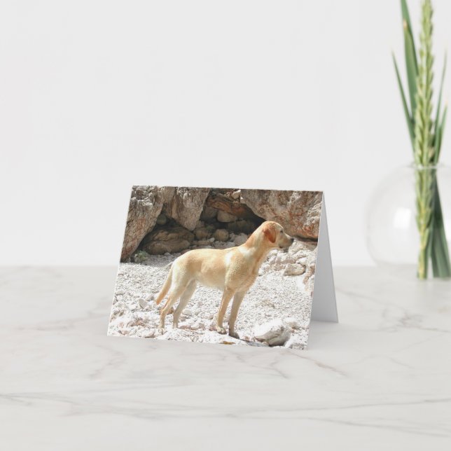 Cartão LR amarelo cheio (Frente)