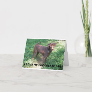 Cartão LR chocolate lab love with picture