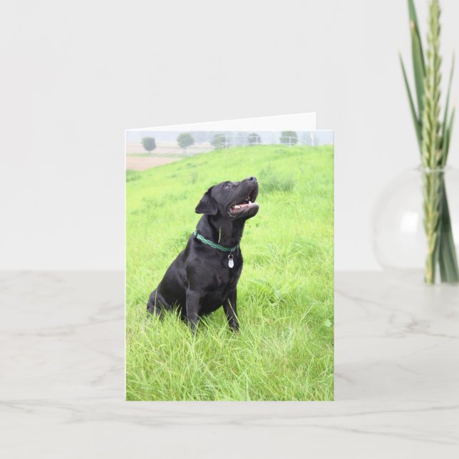 Cartão LR preto sentado (Frente)