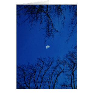 Cartão Lua cheia do inverno com árvores