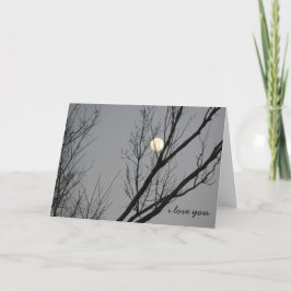 Cartão Lua de inverno, eu te amo na lua e de volta