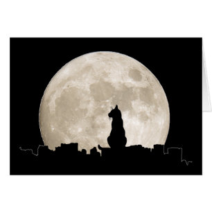 Cartão Lua do gato de beco