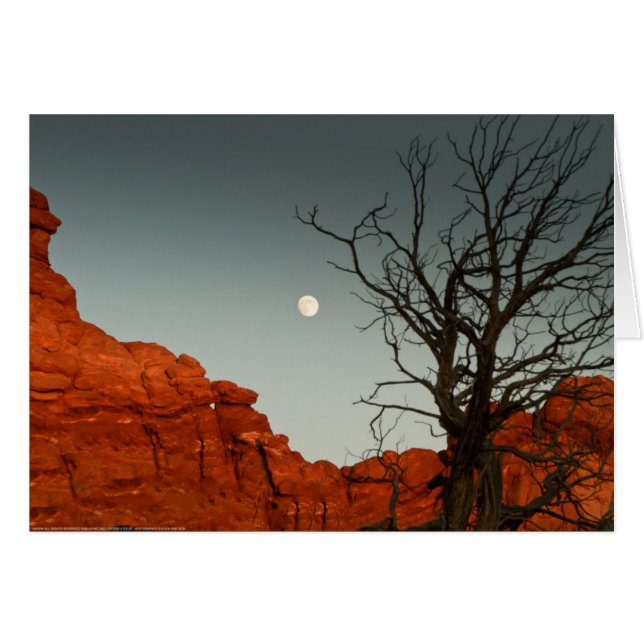 Cartão Lua Wicked (Frente Horizontal)