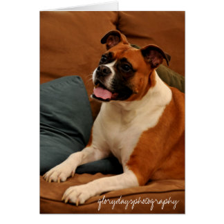 Cartão Lucie Monroe