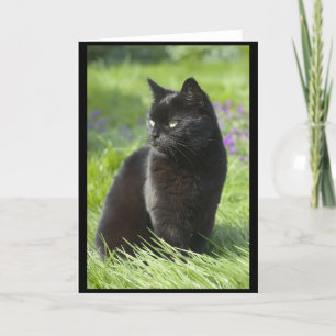 Cartão Lucky Black Cat