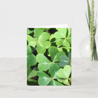 Cartão Lucky Clover Note Card