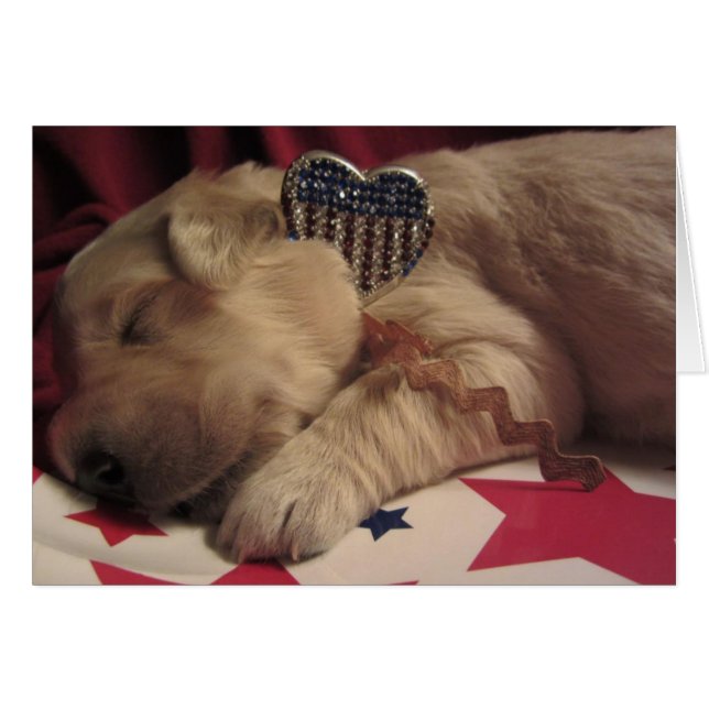 Cartão Lucy patriótica (Frente Horizontal)