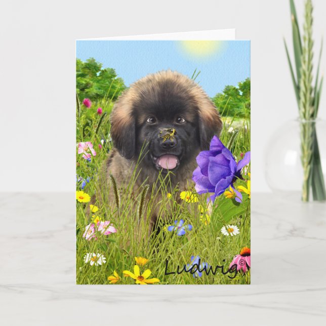Cartão Ludwig the Leonberger Puppy Greeting Card (Frente)