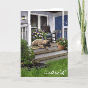 Cartão Ludwig the Leonberger Puppy Greeting Card