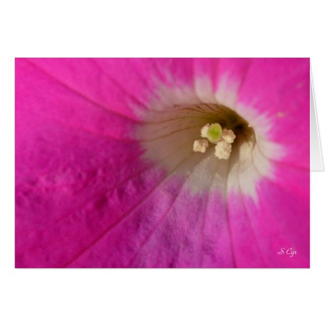 Cartão Lugar central, S Cyr (Frente Horizontal)