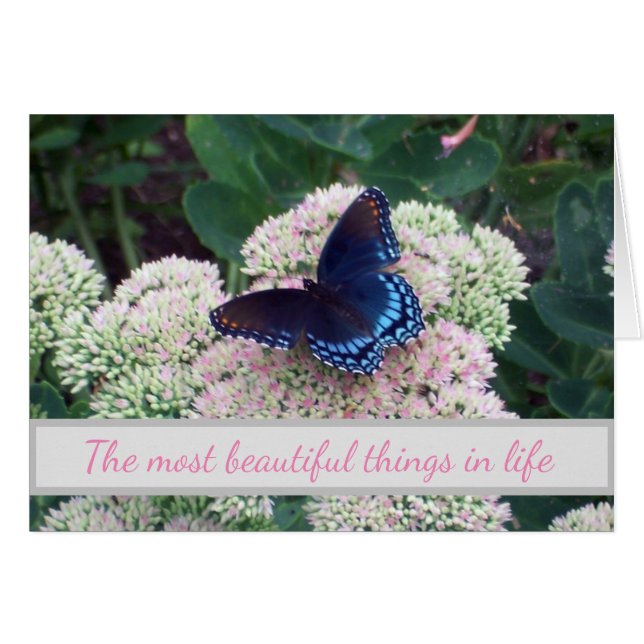 Cartão Lugares Desafiadores da Borboleta Emergente (Frente Horizontal)