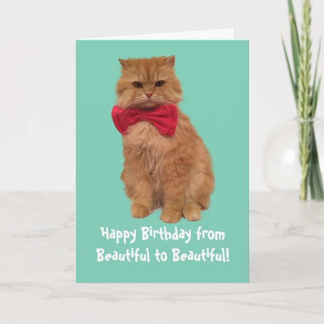 Cartão Luigi The Lion Cat Birthday Card (Frente)