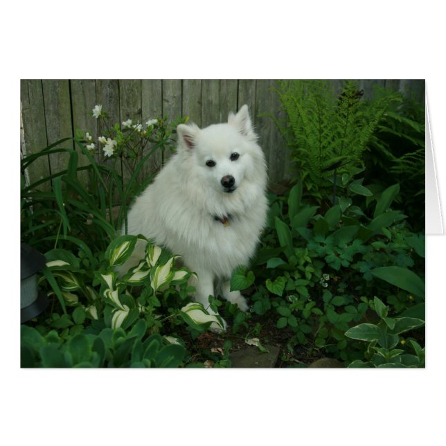 Cartão Luka (Frente horizontal)