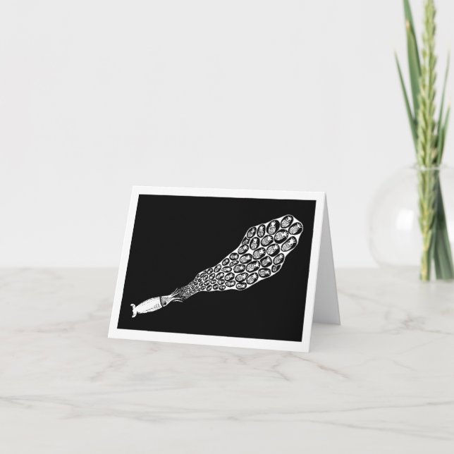 Cartão Lula de brochura (Frente)