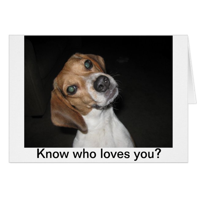 Cartão LuLu Belle (Frente Horizontal)