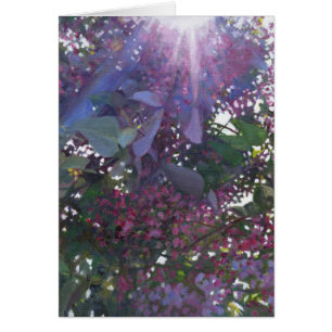 Cartão Luminosidade 2014