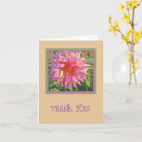 LUMINOUS PINK DAHLIA /OBRIGADO