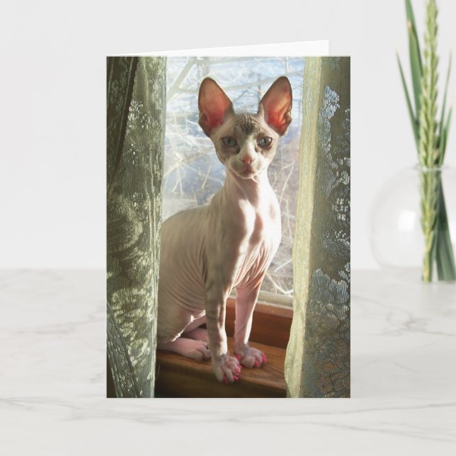 Cartão Luna (Frente)