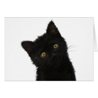 Cartão Luna Bella Black Kitten