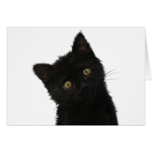 Cartão Luna Bella Black Kitten (Frente Horizontal)