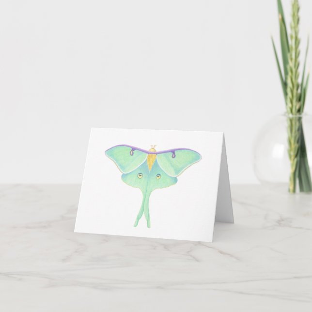 Cartão Luna Moth (Frente)