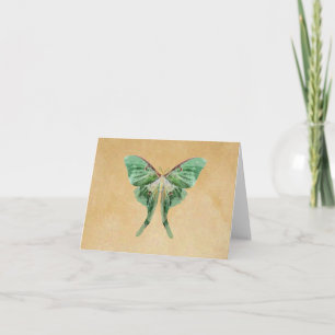 Cartão Luna Moth Note Card