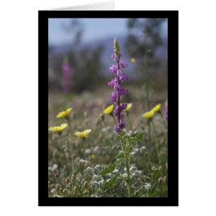 Cartão Lupine do deserto