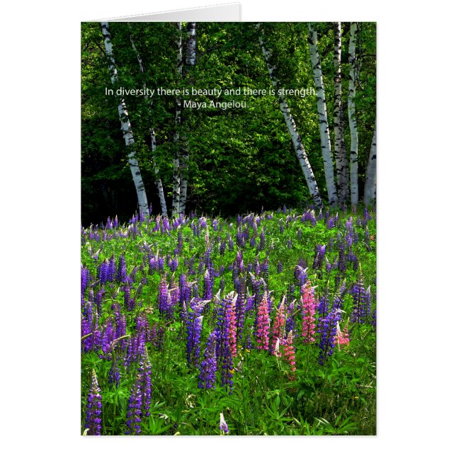 Cartão Lupine Field Celebra Diversidade (Frente)