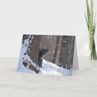 Cartão Lurcher Behind A Tree - Greeting Cards