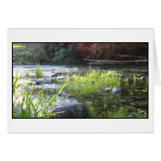 Cartão Luz da manhã no rio Cowichan