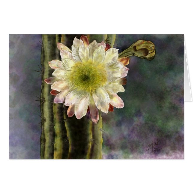 Cartão Luz da Primeira Manhã (Frente horizontal)