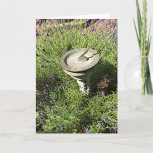 Cartão Luz de sol na Lavanda