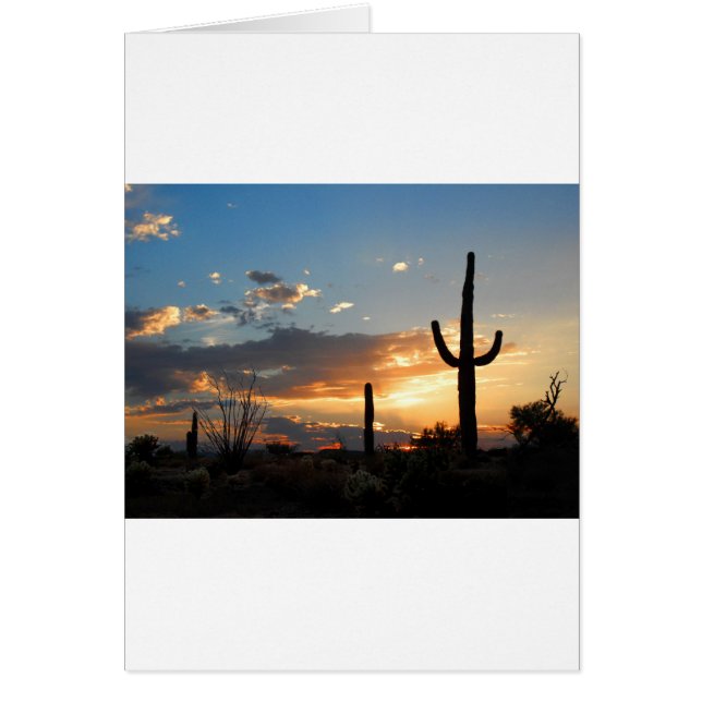 Cartão Luz desaparece em uma Blaze (Frente)