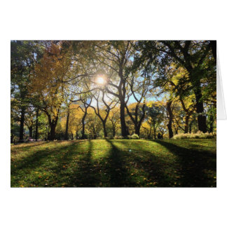 Cartão Luz do sol no Central Park
