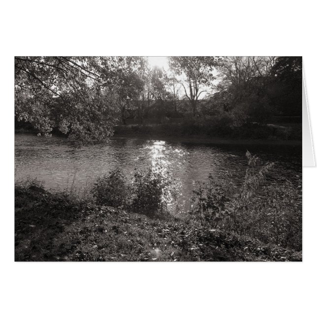 Cartão Luz do sol sobre os Taff, Bute Park, Cardiff (Frente Horizontal)