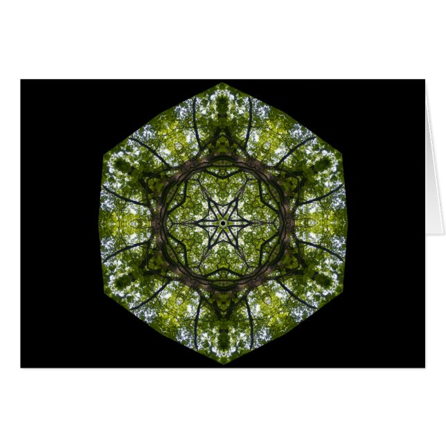 Cartão Luz e teste padrão nas folhas (Frente Horizontal)