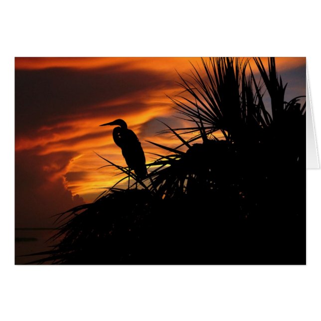 Cartão Luz Esmaecida (Frente Horizontal)