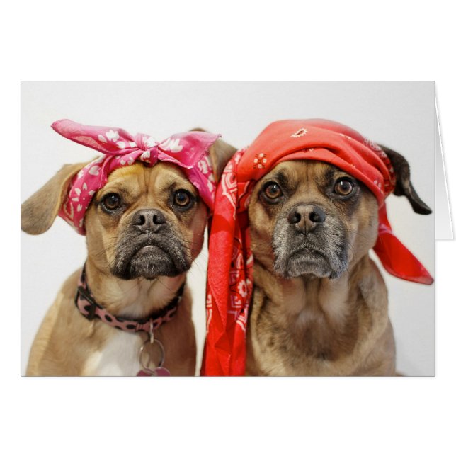 Cartão Luzes (Frente Horizontal)