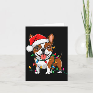 Cartão Luzes de Natal do Boston Terrier Cachorros de Nata