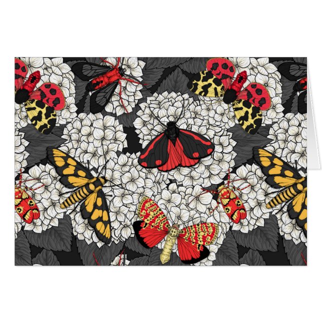 Cartão Luzes sobre hidrangea branca (Frente Horizontal)