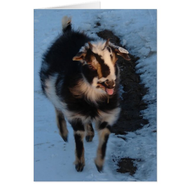 Cartão Maa (Frente)