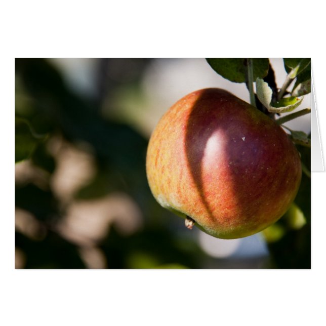 Cartão Maçã (Frente Horizontal)