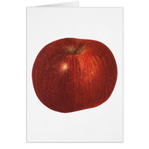 Cartão Maçã Vermelha Deliciosa Orgânica de Frutas Aliment