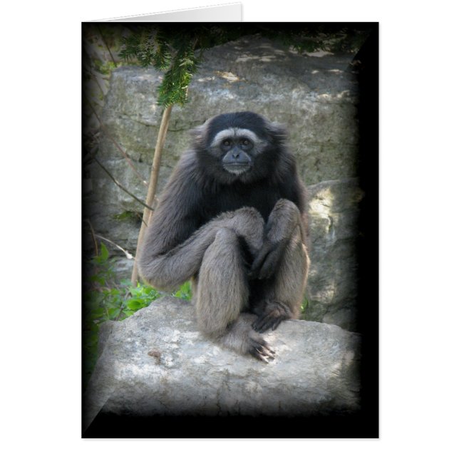 Cartão Macaco (Frente)