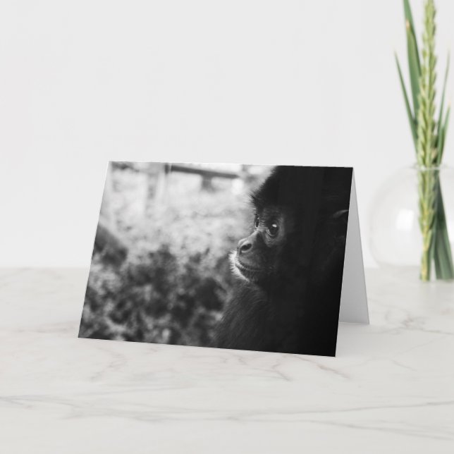 Cartão Macaco (Frente)