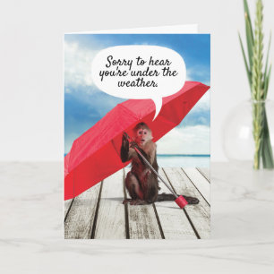 Cartão Macaco Bonito Sob O Clima Fica Bem