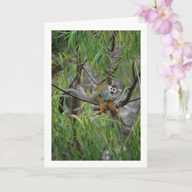 Cartão Macaco de árvore (Orquídea)