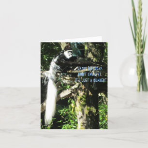 Cartão Macaco de Cauda Longa em uma Árvore